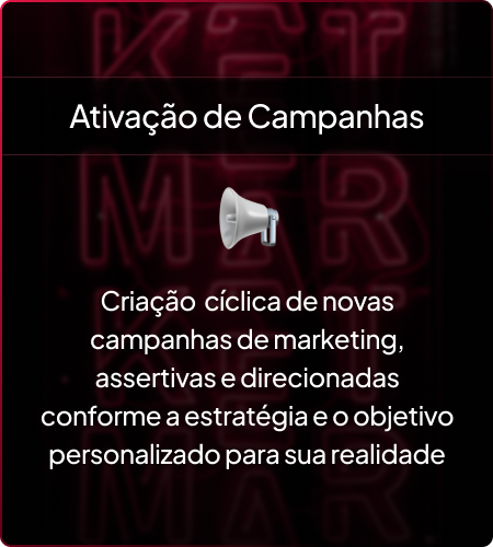 agapros-agencia-digital-entregaveis-trafego-psi-2
